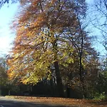 Couette-café May Cottage B&B 3*