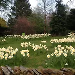 Couette-café May Cottage B&B Bowness-on-Windermere