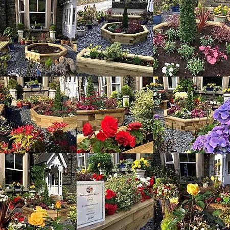 B&B May Cottage B&B 3*