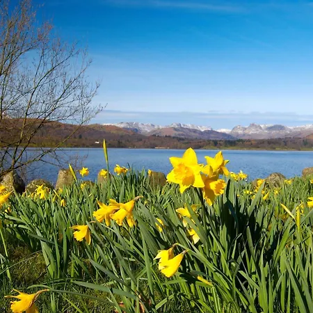 Bed & Breakfast May Cottage B&B Bowness-on-Windermere