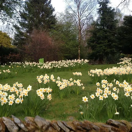 Alojamento de Acomodação e Pequeno-almoço May Cottage B&B Bowness-on-Windermere