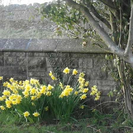 May Cottage B&B Bed and breakfast