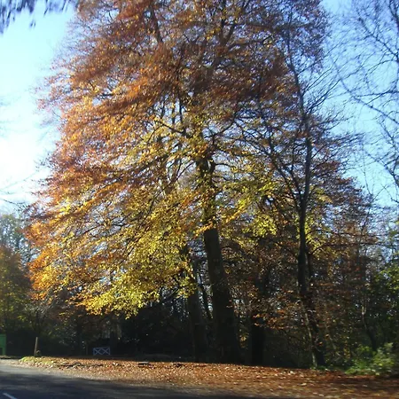 Bed & Breakfast May Cottage B&B 3*